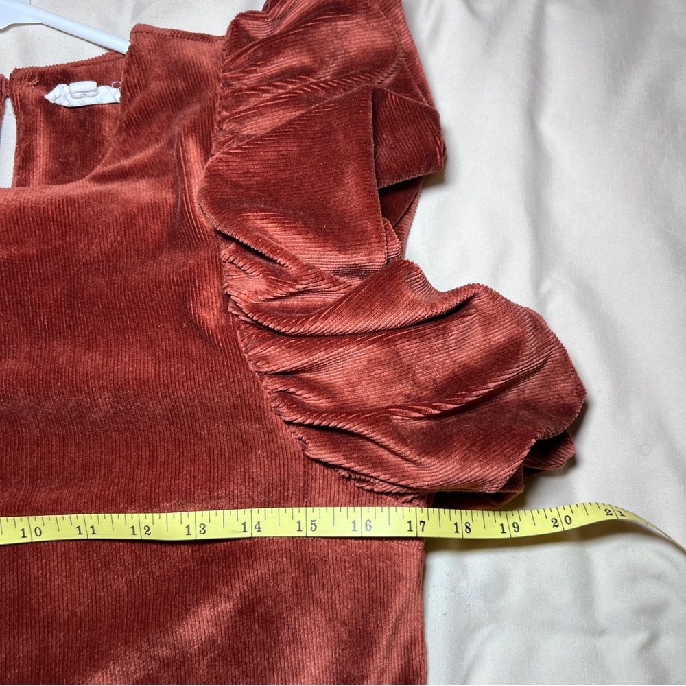THML Velvet Blouse with Dramatic Ruffle Sleeves - Deep Rust Women’s‎  XS - Picture 7 of 11